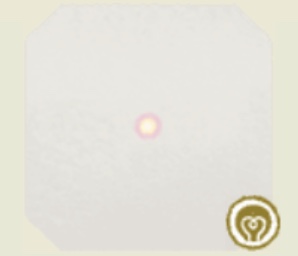 A7EA38D5-D0F8-4669-9D2D-CA94663A8762.jpeg