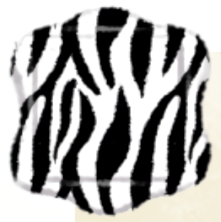 6392 (1).png
