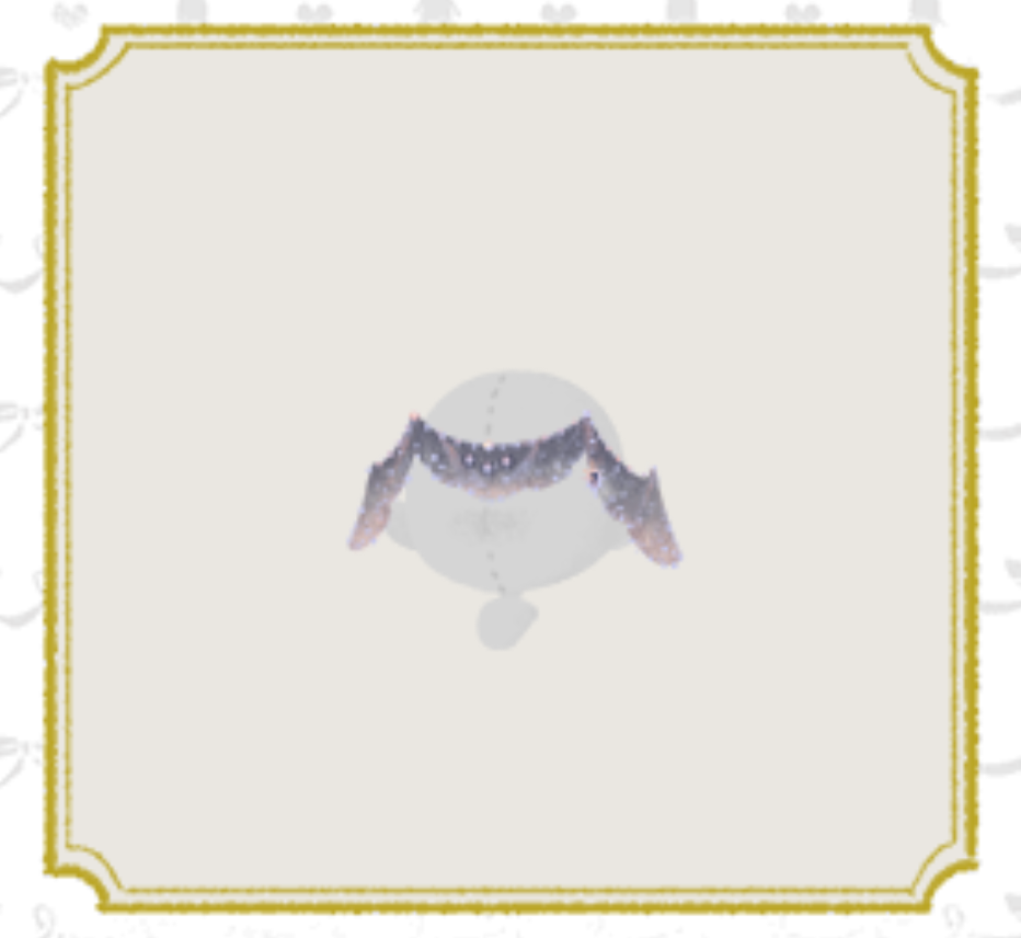 7196 (8).png