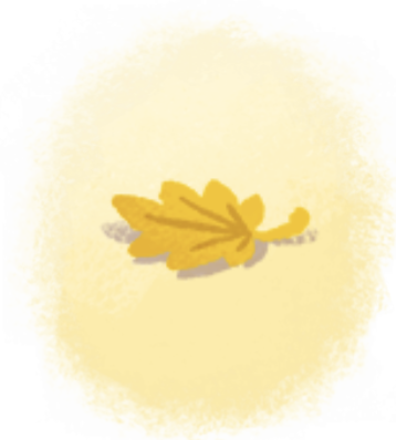 054.png