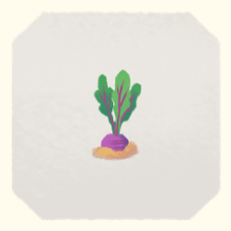 5.png
