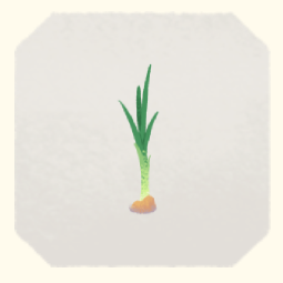 7.png