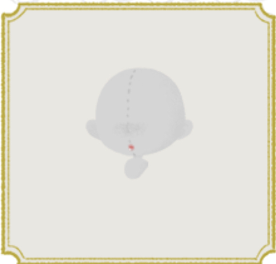 48.png