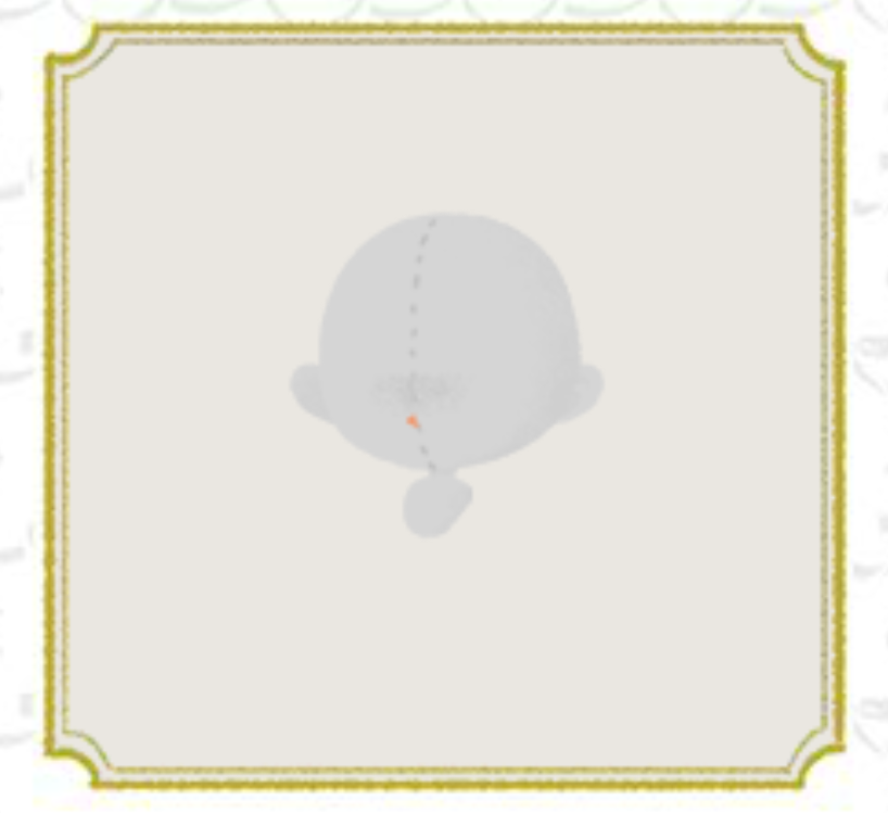 6421 (1).png