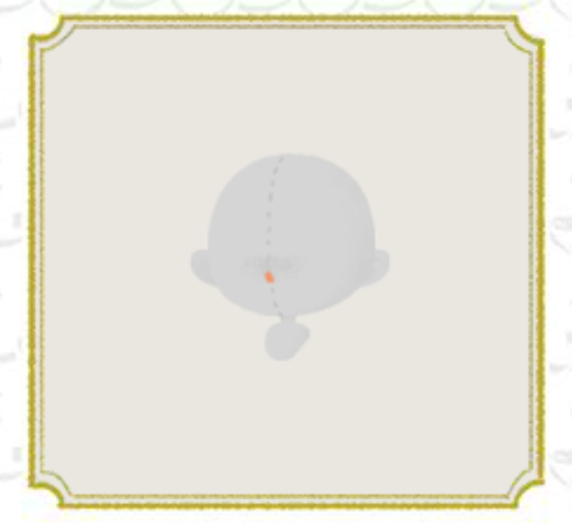 6421 (3).png