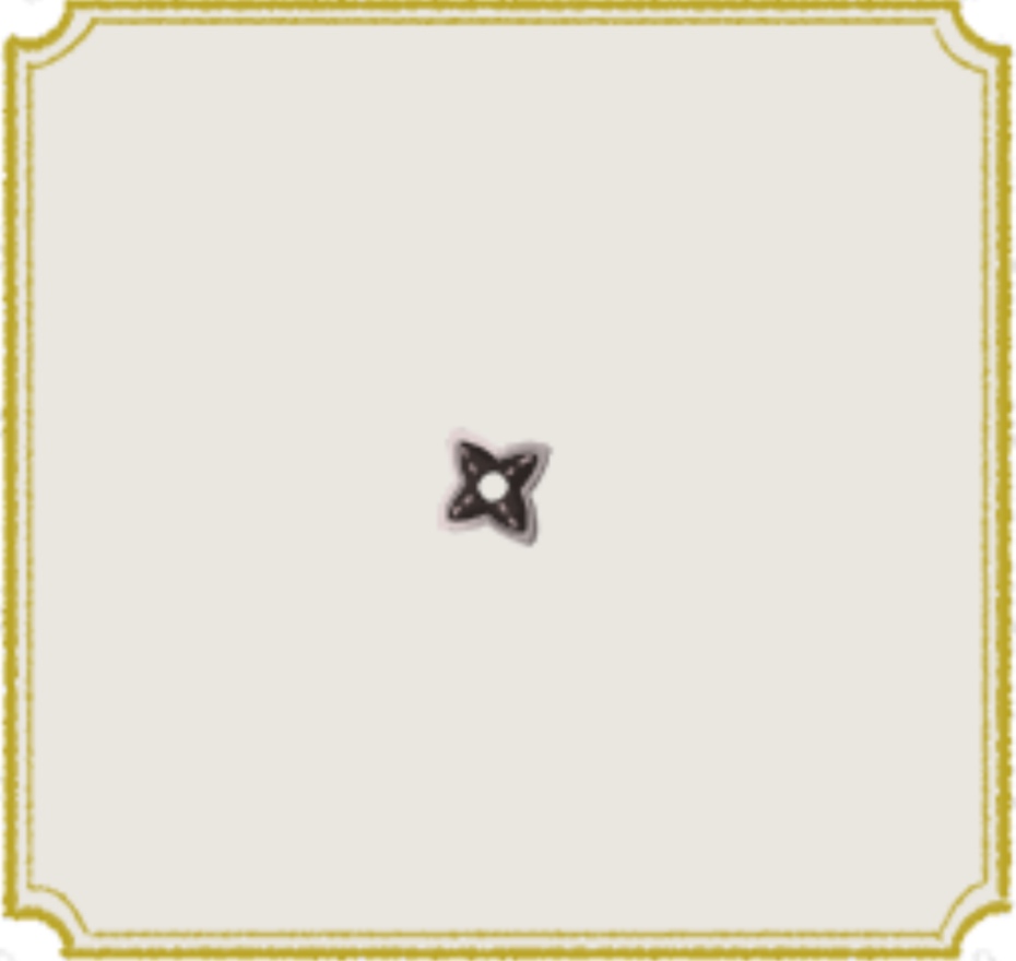 sa9.JPG